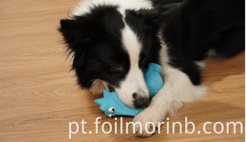 Pet Toy Indoor Play At Home